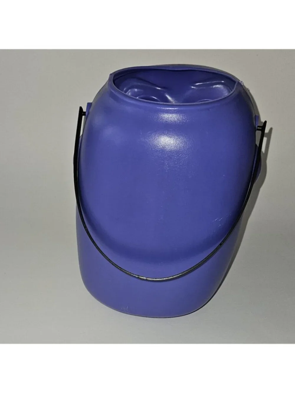 Disney purple buzz